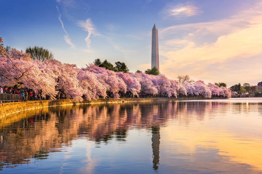 A Guide to Washington, DC Gifts—How to Choose a Gift for Beltway-Loving Friends