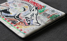 Load image into Gallery viewer, Arkansas, University of Collegiate Zip Pouch Pouch catstudio