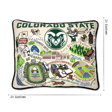 Load image into Gallery viewer, Colorado State University Collegiate Embroidered Pillow Pillow catstudio