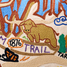 Load image into Gallery viewer, Fort Worth Hand-Embroidered Pillow Pillow catstudio