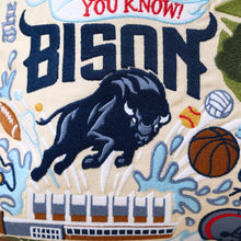 Load image into Gallery viewer, Howard University Collegiate Embroidered Pillow Pillow catstudio