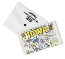 Load image into Gallery viewer, Iowa, University of Collegiate Dish Towel Dish Towel catstudio