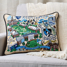 Load image into Gallery viewer, Johns Hopkins University Collegiate Embroidered Pillow Pillow catstudio