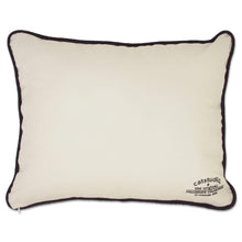 Load image into Gallery viewer, Johns Hopkins University Collegiate Embroidered Pillow Pillow catstudio