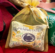 Load image into Gallery viewer, Penn State University Collegiate Mini Pillow Ornament Mini Pillow catstudio