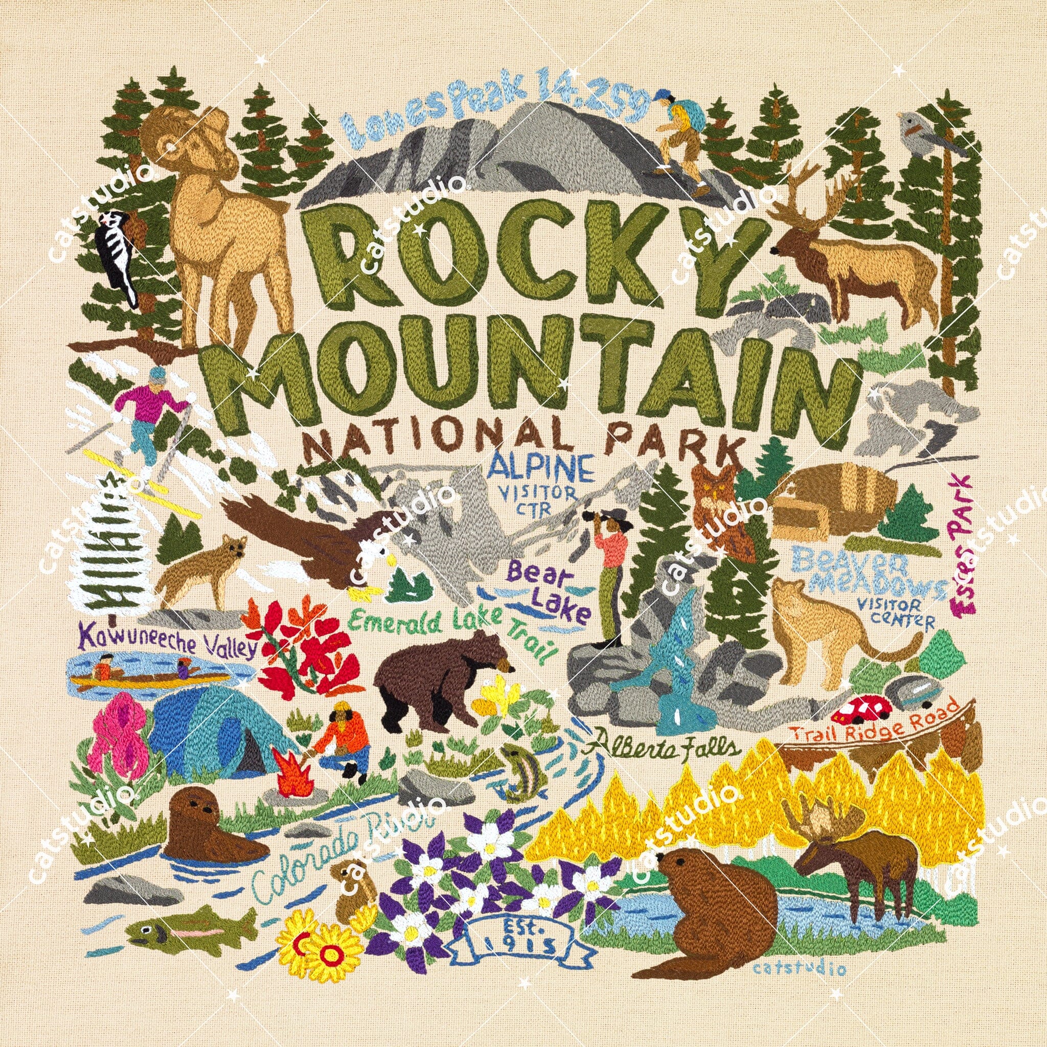 Rocky Mountain Woods Colorado 丸太　切株　小物入 Rocky Mountain National Park Fine Art Print | National Parks