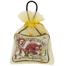 Load image into Gallery viewer, South Carolina, University of Collegiate Mini Pillow Ornament Mini Pillow catstudio