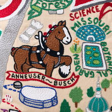 Load image into Gallery viewer, St. Louis Hand-Embroidered Pillow Pillow catstudio