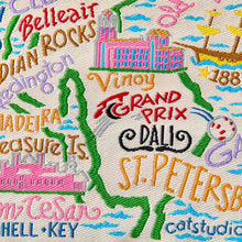Load image into Gallery viewer, Tampa St. Pete Zip Pouch Pouch catstudio