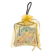 Load image into Gallery viewer, Tennessee Mini Pillow Ornament Mini Pillow catstudio