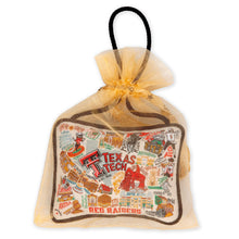 Load image into Gallery viewer, Texas Tech University Collegiate Mini Pillow Ornament Mini Pillow catstudio