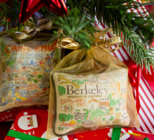Load image into Gallery viewer, University of California, Berkeley Collegiate Mini Pillow Ornament Mini Pillow catstudio