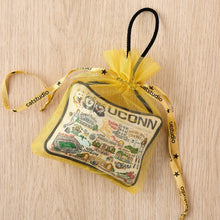 Load image into Gallery viewer, University of Connecticut Collegiate Mini Pillow Ornament Mini Pillow catstudio