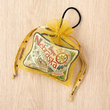 Load image into Gallery viewer, University of Nebraska Collegiate Mini Pillow Ornament Mini Pillow catstudio