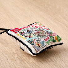 Load image into Gallery viewer, University of Nebraska Collegiate Mini Pillow Ornament Mini Pillow catstudio