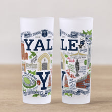 Load image into Gallery viewer, Yale University Collegiate Shot Glass Shot Glass catstudio