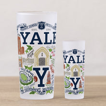 Load image into Gallery viewer, Yale University Collegiate Shot Glass Shot Glass catstudio