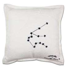 Load image into Gallery viewer, Aquarius Astrology Hand-Embroidered Pillow - catstudio