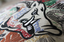 Load image into Gallery viewer, Arkansas, University of Collegiate Embroidered Pillow - catstudio