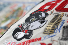 Load image into Gallery viewer, Boston University Collegiate Embroidered Pillow - catstudio