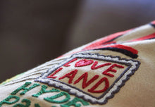 Load image into Gallery viewer, Cincinnati Hand-Embroidered Pillow - catstudio