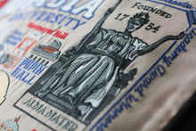 Load image into Gallery viewer, Columbia University Collegiate Embroidered Pillow - catstudio