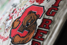 Load image into Gallery viewer, Cornell University Collegiate Embroidered Pillow - catstudio