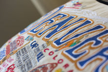 Load image into Gallery viewer, Denver Hand-Embroidered Pillow - catstudio