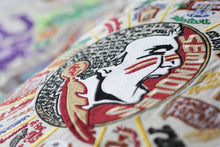 Load image into Gallery viewer, Florida State University Collegiate XL Hand-Embroidered Pillow - catstudio