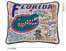 Load image into Gallery viewer, Florida, University of Collegiate Embroidered Pillow - catstudio