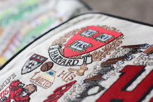 Load image into Gallery viewer, Harvard University Collegiate Embroidered Pillow - catstudio
