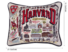 Load image into Gallery viewer, Harvard University Collegiate Embroidered Pillow Pillow catstudio