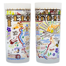 Load image into Gallery viewer, Illinois Drinking Glass - catstudio