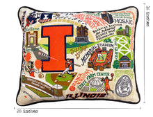 Load image into Gallery viewer, Illinois, University of Collegiate Embroidered Pillow Pillow catstudio 
