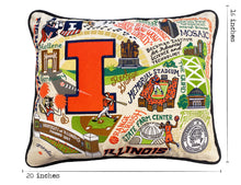Load image into Gallery viewer, Illinois, University of Collegiate Embroidered Pillow Pillow catstudio