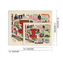 Load image into Gallery viewer, Illinois, University of Collegiate Fine Art Print Art Print catstudio