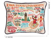 Load image into Gallery viewer, Iowa State University Collegiate Embroidered Pillow - catstudio