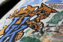 Load image into Gallery viewer, Kentucky, University of Collegiate Embroidered Pillow - catstudio