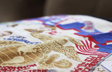 Load image into Gallery viewer, Marines Embroidered Pillow - catstudio