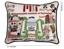 Load image into Gallery viewer, Massachusetts Institute of Technology (MIT) Collegiate Embroidered Pillow - catstudio
