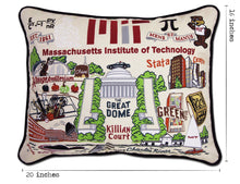 Load image into Gallery viewer, Massachusetts Institute of Technology (MIT) Collegiate Embroidered Pillow - catstudio