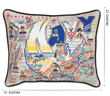 Load image into Gallery viewer, Navy Embroidered Pillow - catstudio