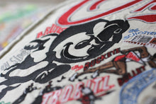 Load image into Gallery viewer, Ohio State University Collegiate Embroidered Pillow - catstudio