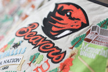 Load image into Gallery viewer, Oregon State University Collegiate Embroidered Pillow - catstudio