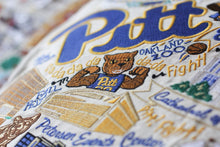 Load image into Gallery viewer, Pittsburgh, University of Collegiate Embroidered Pillow - catstudio