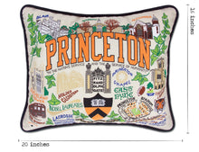 Load image into Gallery viewer, Princeton University Collegiate Embroidered Pillow - catstudio