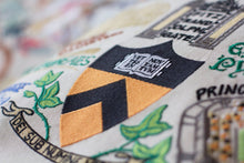 Load image into Gallery viewer, Princeton University Collegiate Embroidered Pillow - catstudio