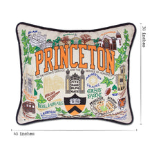 Load image into Gallery viewer, Princeton University Collegiate XL Hand-Embroidered Pillow XL Pillow catstudio