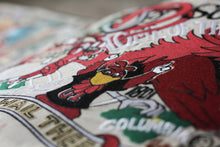 Load image into Gallery viewer, South Carolina, University of Collegiate Embroidered Pillow - catstudio