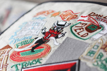 Load image into Gallery viewer, Texas Tech University Collegiate Embroidered Pillow - catstudio